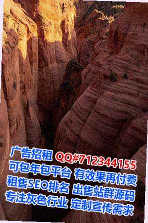 南开借腹生子融资租赁事务所